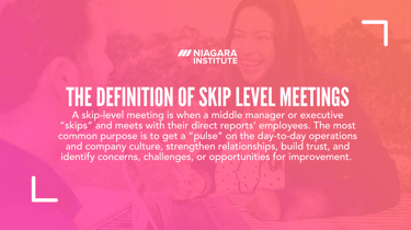 SkipLevel Meetings 101 A Brief Guide for Middle Managers